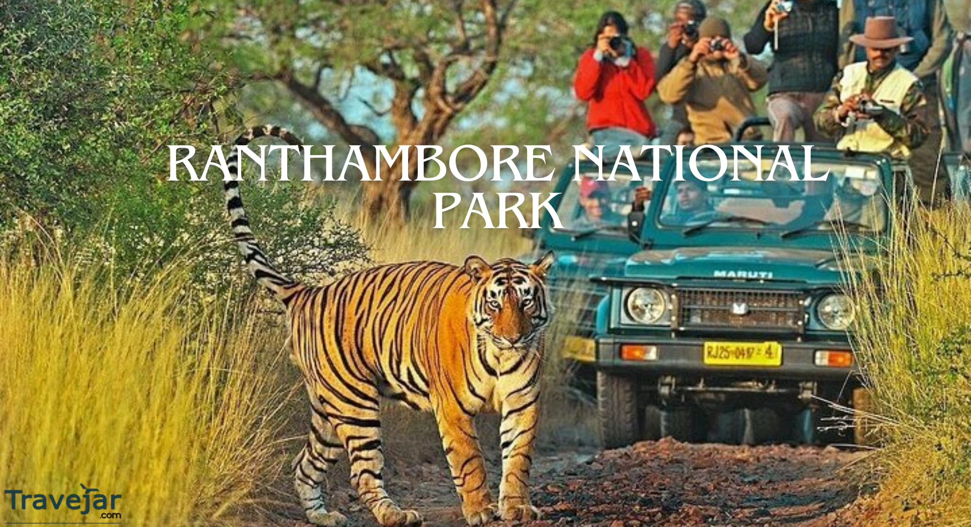 Ranthambore National Park
